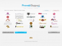 Prowebsupport.com