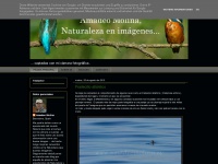Amadeo-molina.blogspot.com