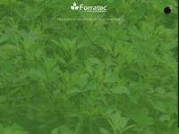forratec.com.ar Thumbnail