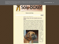 soloboxer.blogspot.com