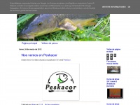 Pescandoenelsur-amosca.blogspot.com