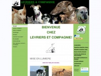 Levriers-co.fr