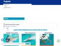 dolphindiscovery.com.mx