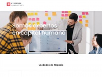 expertiseconsultores.com Thumbnail