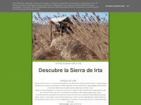 Sierrairta.blogspot.com