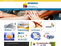 apimagc.com
