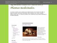 tus-plantas-medicinales.blogspot.com