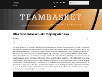 teambasket.com Thumbnail
