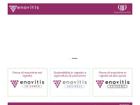 Enovitis.it