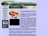 ophidia.es