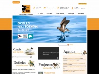 ornitologia.org Thumbnail