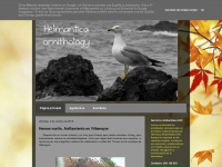 Helmanticaornithology.blogspot.com