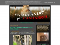 Pajareandoporcantabria.blogspot.com