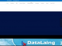 Datalaing.com