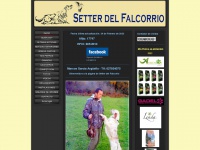 Setterdelfalcorrio.com