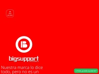 bigsupport.com.ar