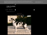 can-duran.blogspot.com Thumbnail