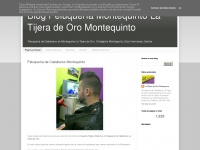 latijeradeoropeluqueros.blogspot.com