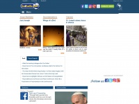 catholic.net Thumbnail