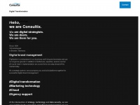 Consultix.net