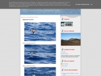 Birdinglanzarote.blogspot.com