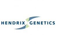 Hendrix-genetics.com