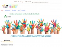 micolemontilla.com