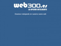 web300.es