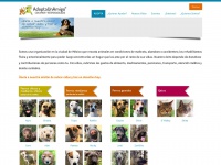 Adoptaunamigo.org