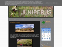 Asociacionjuniperus.blogspot.com