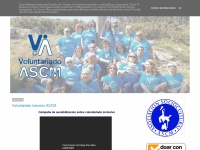 voluntariadoascm.blogspot.com