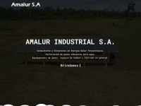 Amalur.net
