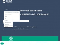 Caputconsultoria.com.br