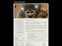 Zoocas.com