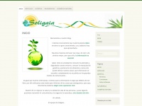Soligaia.wordpress.com