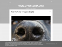 Mpadiestra.com