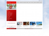flint.com.es Thumbnail