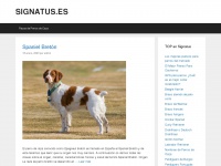 signatus.es Thumbnail