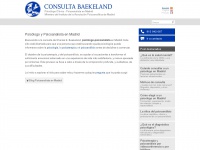 consultabaekeland.com Thumbnail