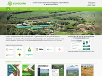 Cengicana.org