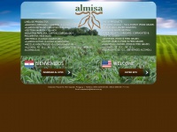 almisa.com.py Thumbnail