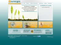 Sunergos.com.py