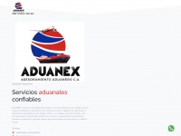 aduanex.com