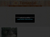 temazcal.cl Thumbnail