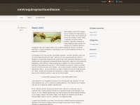 Centroquiropracticonilsson.wordpress.com