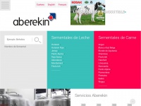 aberekin.com Thumbnail