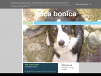 Micabonica.blogspot.com