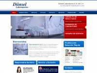 Diinsel-labs.com