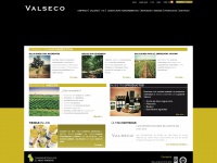 valseco.com