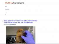 Stichtingsignaalhond.nl